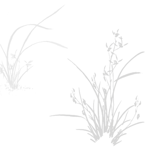 Choi's Health SPA Center for Teraputic benefits of Massage Therapy